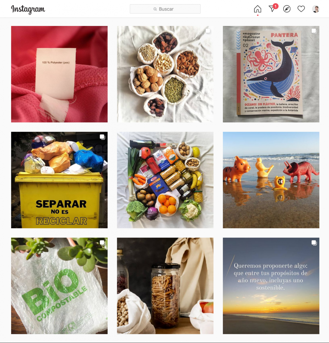 Perfil de Instagram "Vivir sin plástico"